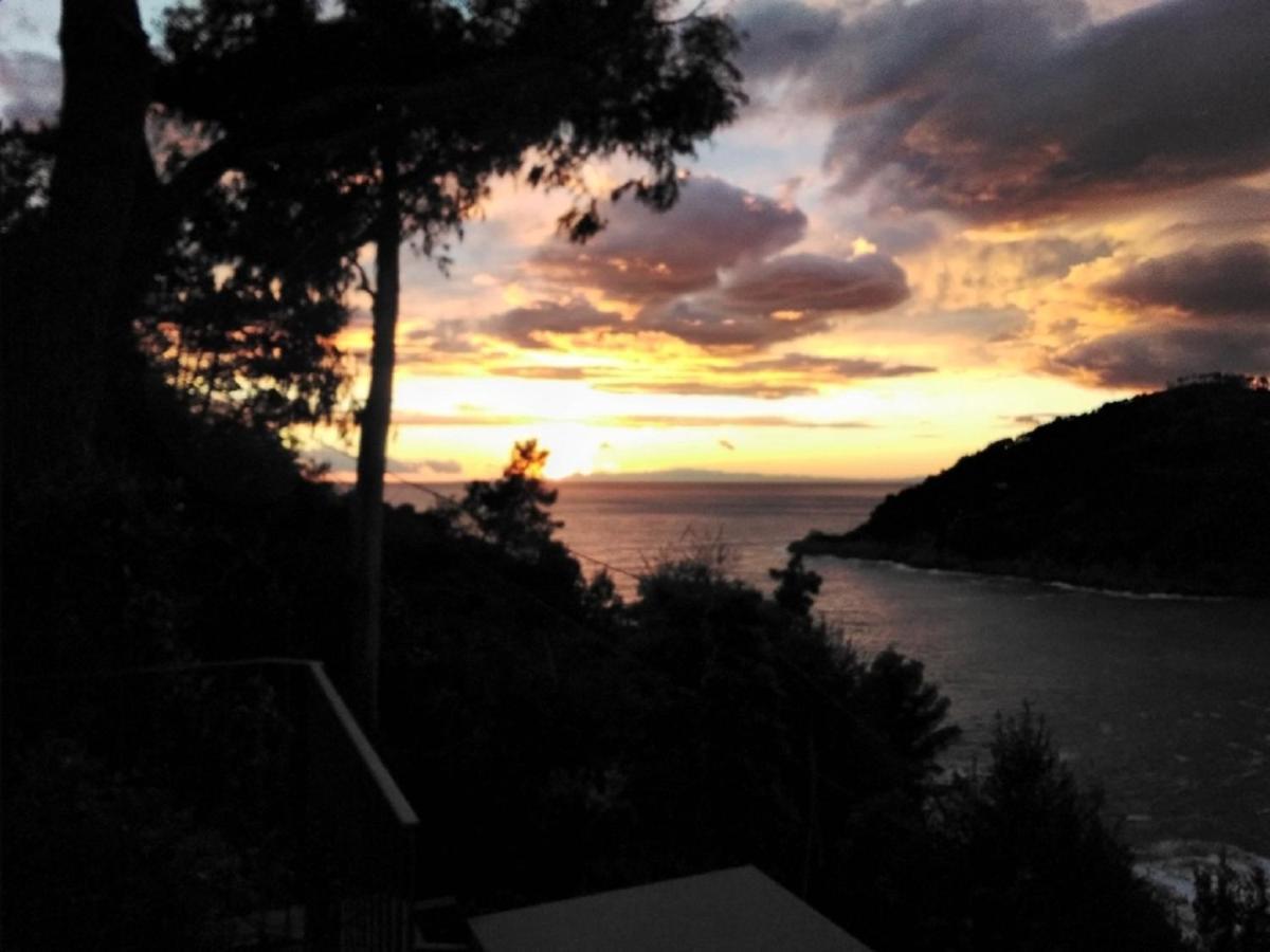 Villa Mimosa Splendida Vista Mare Бонасола Екстериор снимка