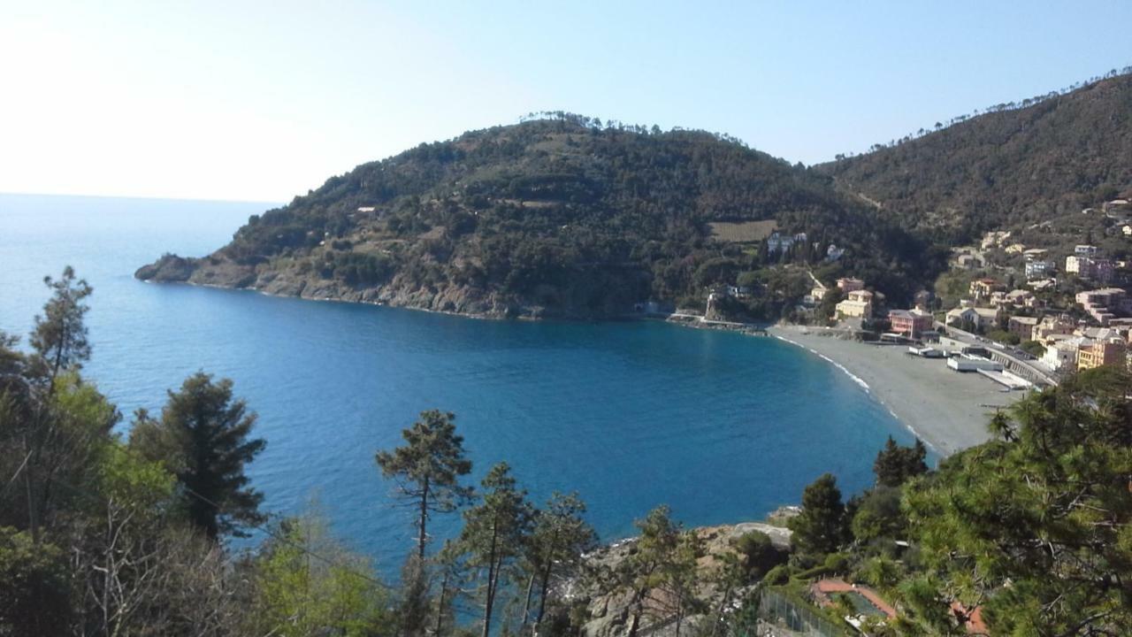 Villa Mimosa Splendida Vista Mare Бонасола Екстериор снимка